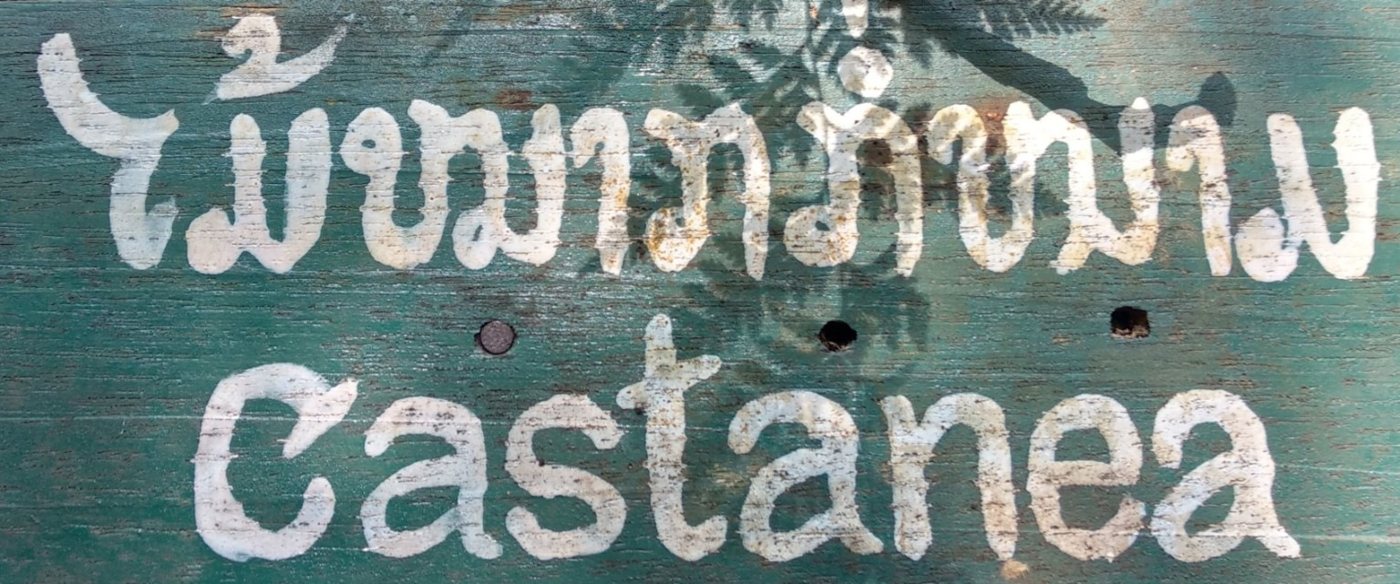 The hand-painted sign in Laos this font was drawn from