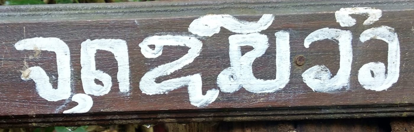 The hand-painted sign in Laos this font was drawn from